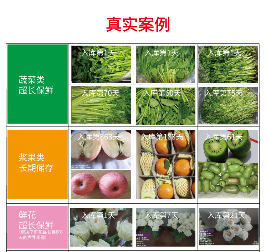 智慧冰溫庫成套裝備(圖3) 智慧冰溫庫成套裝備(圖3)